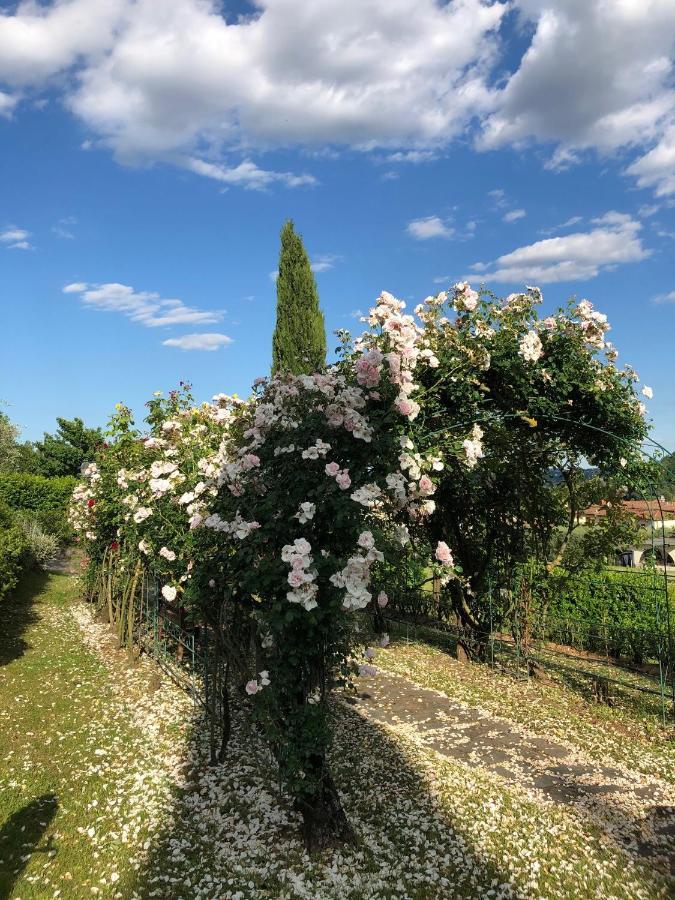 Il Giardino Di Flora 호텔 Buti 외부 사진